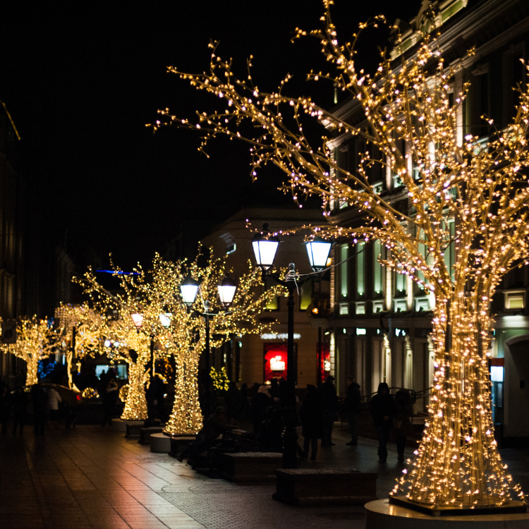 Holiday Lighting in Nutley, NJ