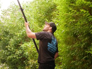 Window Cleaning Nutley, NJ